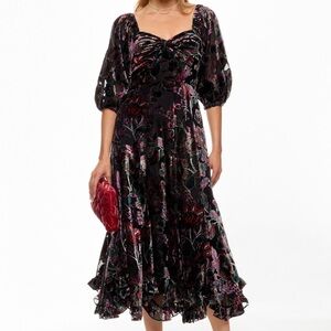 Anthropologie Hutch Floral Sz L Burnout Velvet Midi Dress Sweetheart Neckline